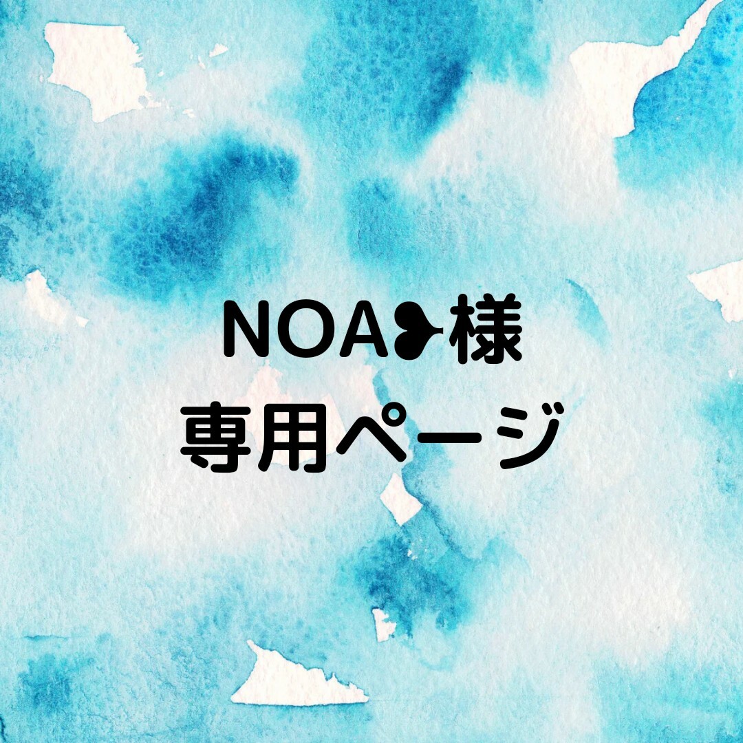 NOA❥様専用ページ | フリマアプリ ラクマ