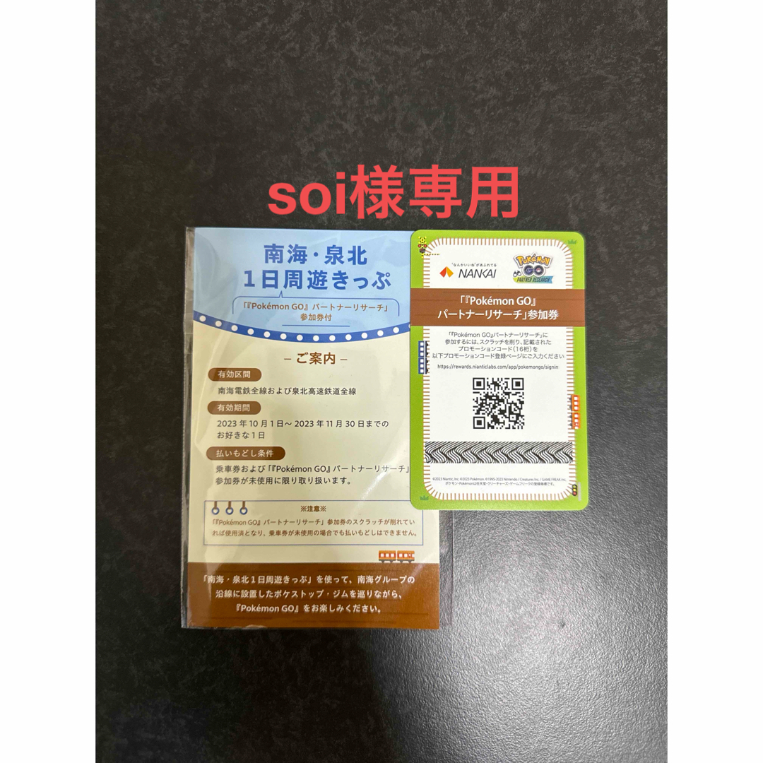 ポケモン - soi様専用 南海・泉北1日周遊きっぷ付属ポケモンGO