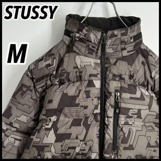 ステューシー ダウンジャケット(メンズ)の通販 200点以上 | STUSSYの