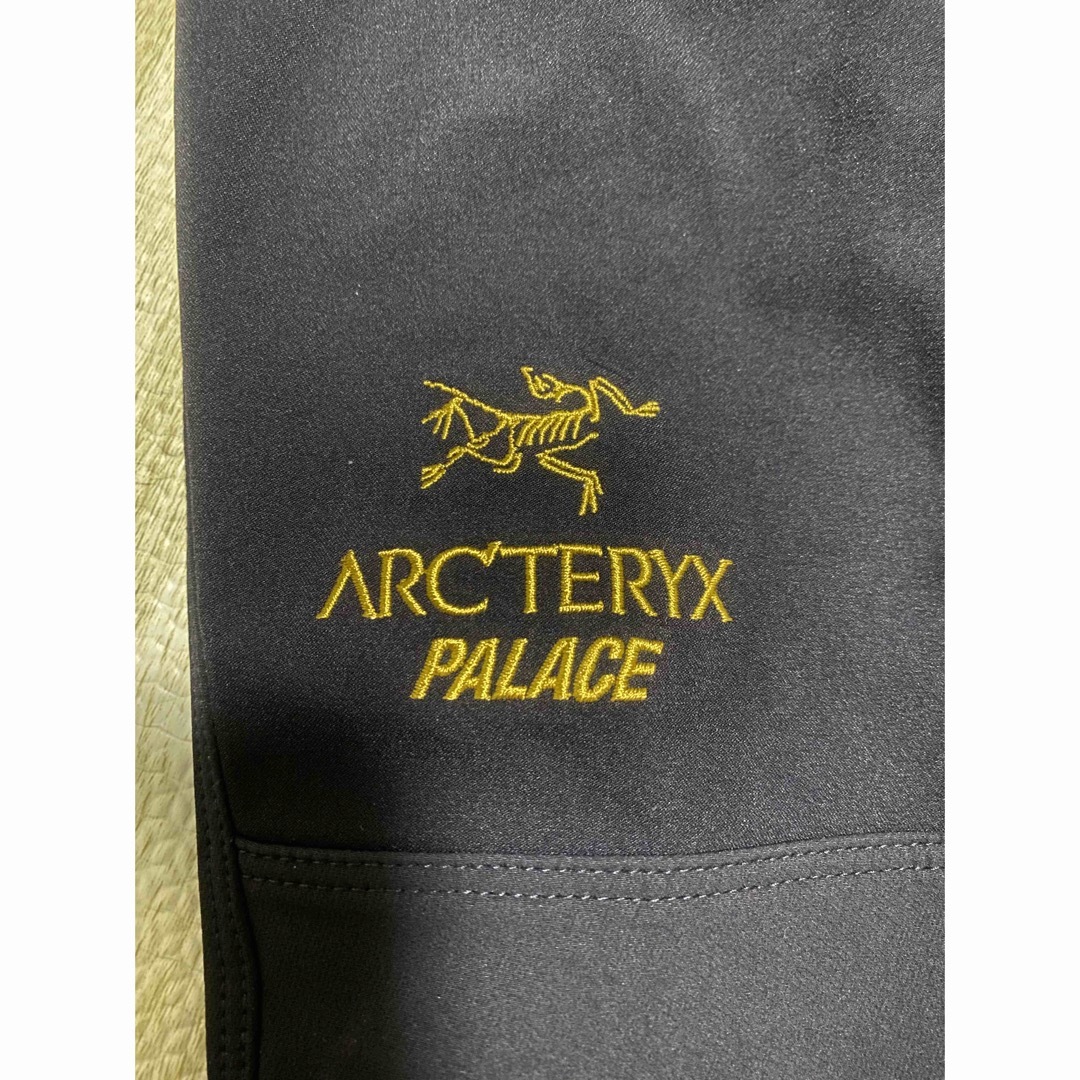 ARCArc'teryx Palace pants M 激レア 正規品 - dibrass.com