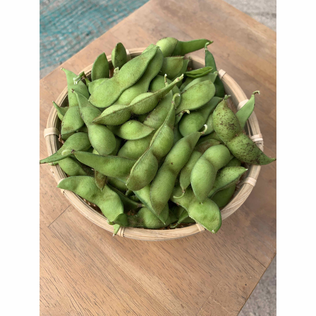 作州黒枝豆 丹波種 1kg 食品/飲料/酒の食品(野菜)の商品写真