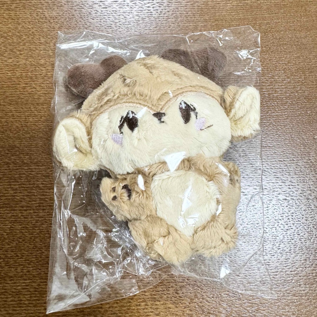 ENHYPEN - ENHYPEN ヒスンドール 10cmドール マスター ぬいぐるみの