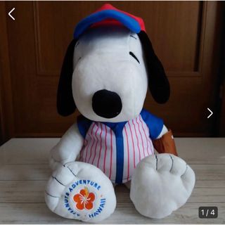 ルーシー　Lucy　スヌーピーSNOOPY　ピーナッツ　ハワイ　HAWAII限定