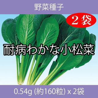 野菜種子 EBV 耐病わかな小松菜 0.54g(約160粒) x 2袋(野菜)