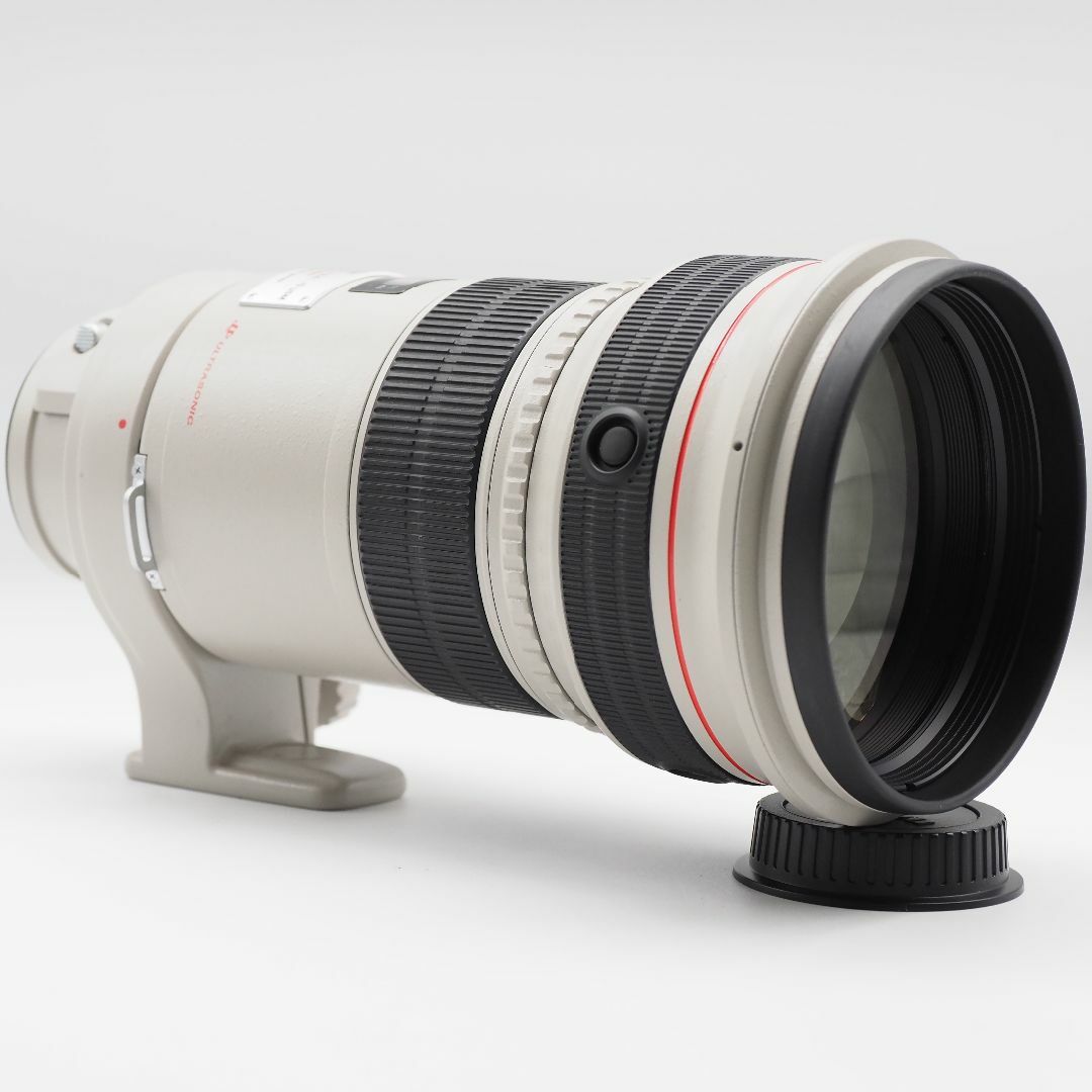 Canon EF Lレンズ 300mm F2.8L IS USM #2678