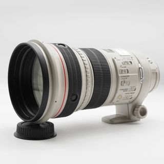 Canon EF Lレンズ 300mm F2.8L IS USM #2678