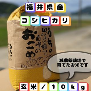 ✾数量限定✾期間限定SALE✾特別栽培米✾コシヒカリ✾玄米10㌔✾精米付✾(米/穀物)