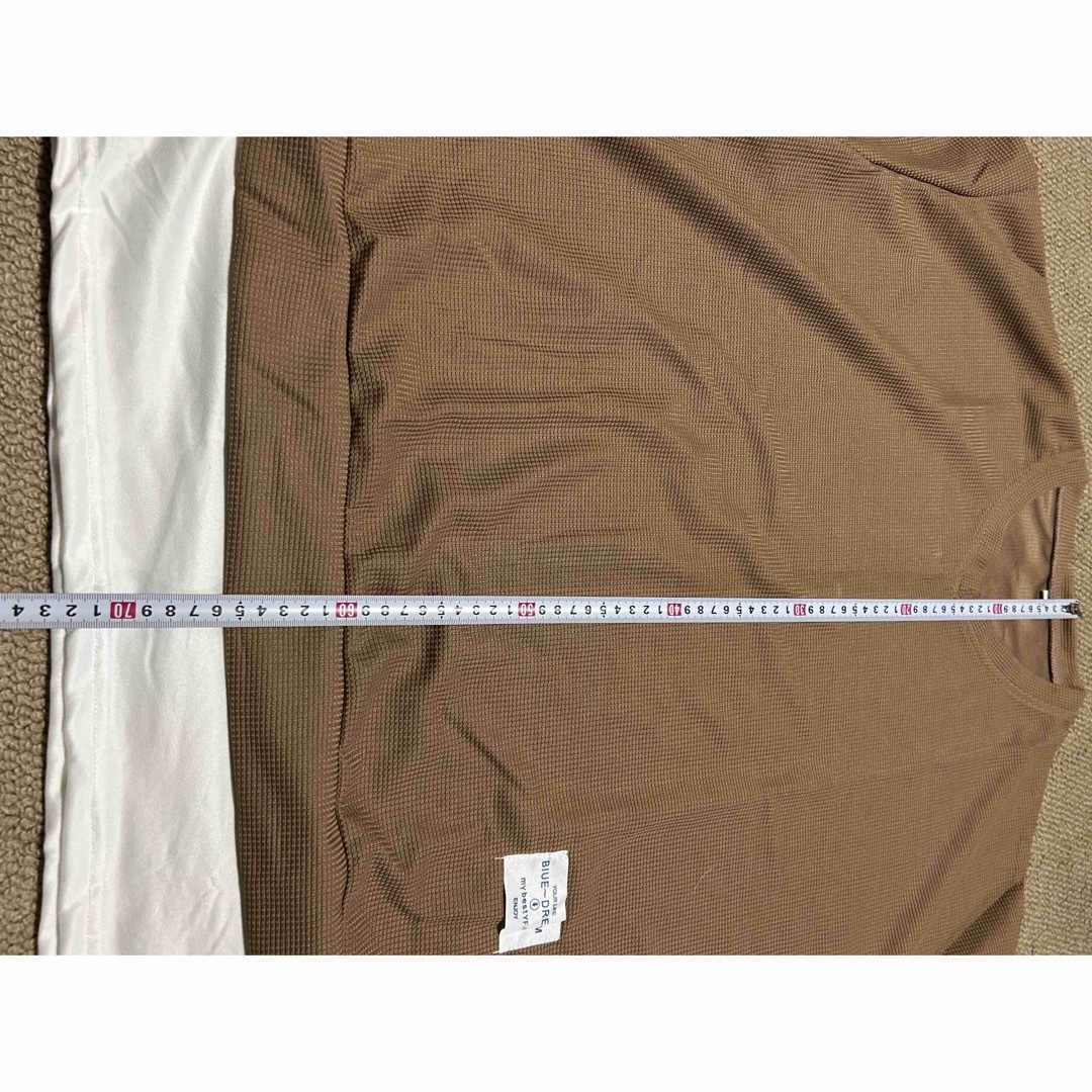 重ね着風　フェイクカットソー　ブラウン　4L 薄め レディースのトップス(カットソー(長袖/七分))の商品写真