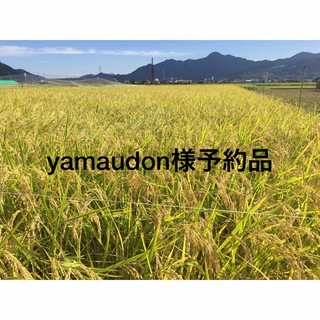 [yamaudon様予約品] 天日干しコシヒカリ精米10kg（長野県産）(米/穀物)