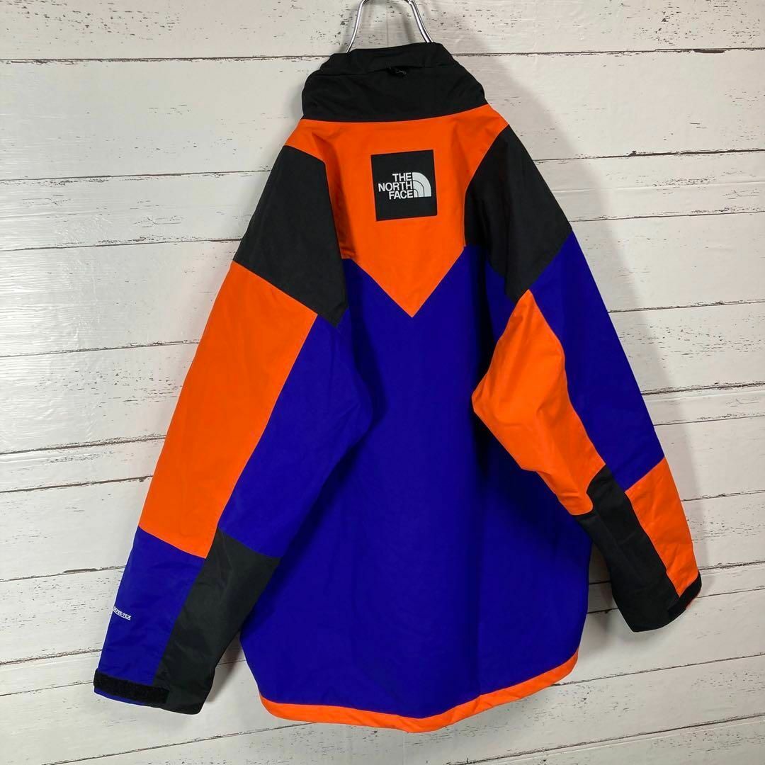 即完売】THE NORTH FACE ゴアテックス レインテックス くすみ