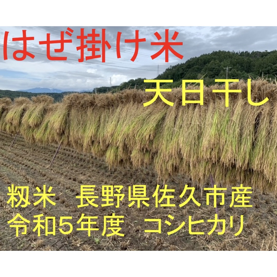 新米　はぜ掛け米　天日干し　長野県佐久市産コシヒカリ　白米25キロ　籾保存