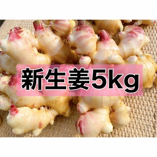 新生姜5kg(野菜)