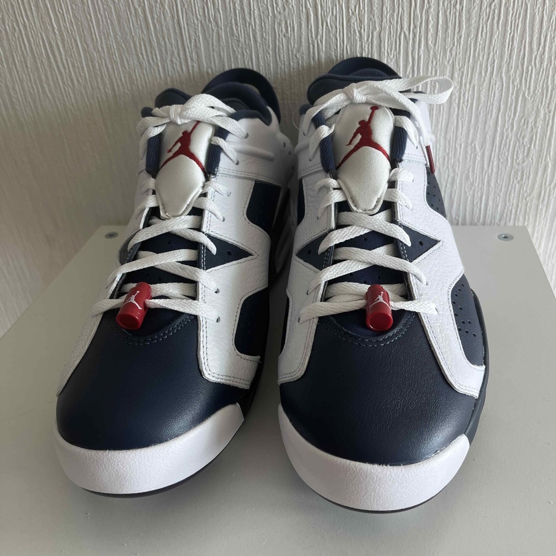 Nike Air Jordan 6 Retro Low Golf （30cm） 2