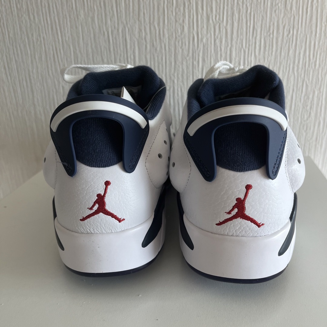 Nike Air Jordan 6 Retro Low Golf （30cm） 3