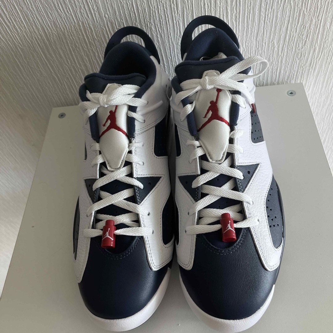 Nike Air Jordan 6 Retro Low Golf （30cm） 4