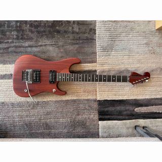 Washburn - 希少 ワッシュバーン ヌーノ ジミーペイジ 12弦エレアコ