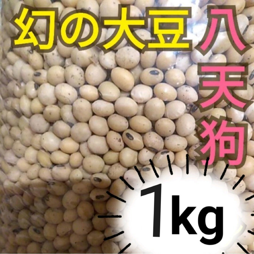 自然栽培 幻の大豆 『八天狗』1kg 熊本県産 食品/飲料/酒の加工食品(豆腐/豆製品)の商品写真