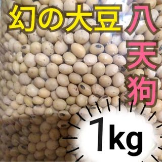 自然栽培 幻の大豆 『八天狗』1kg 熊本県産(豆腐/豆製品)