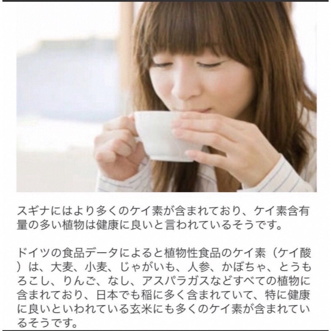 スギナ茶(2g×22袋入り) 食品/飲料/酒の健康食品(健康茶)の商品写真