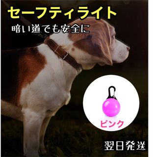 ペット セーフティライト お散歩ライト LED 犬 猫 ブルー 散歩 安全(犬)