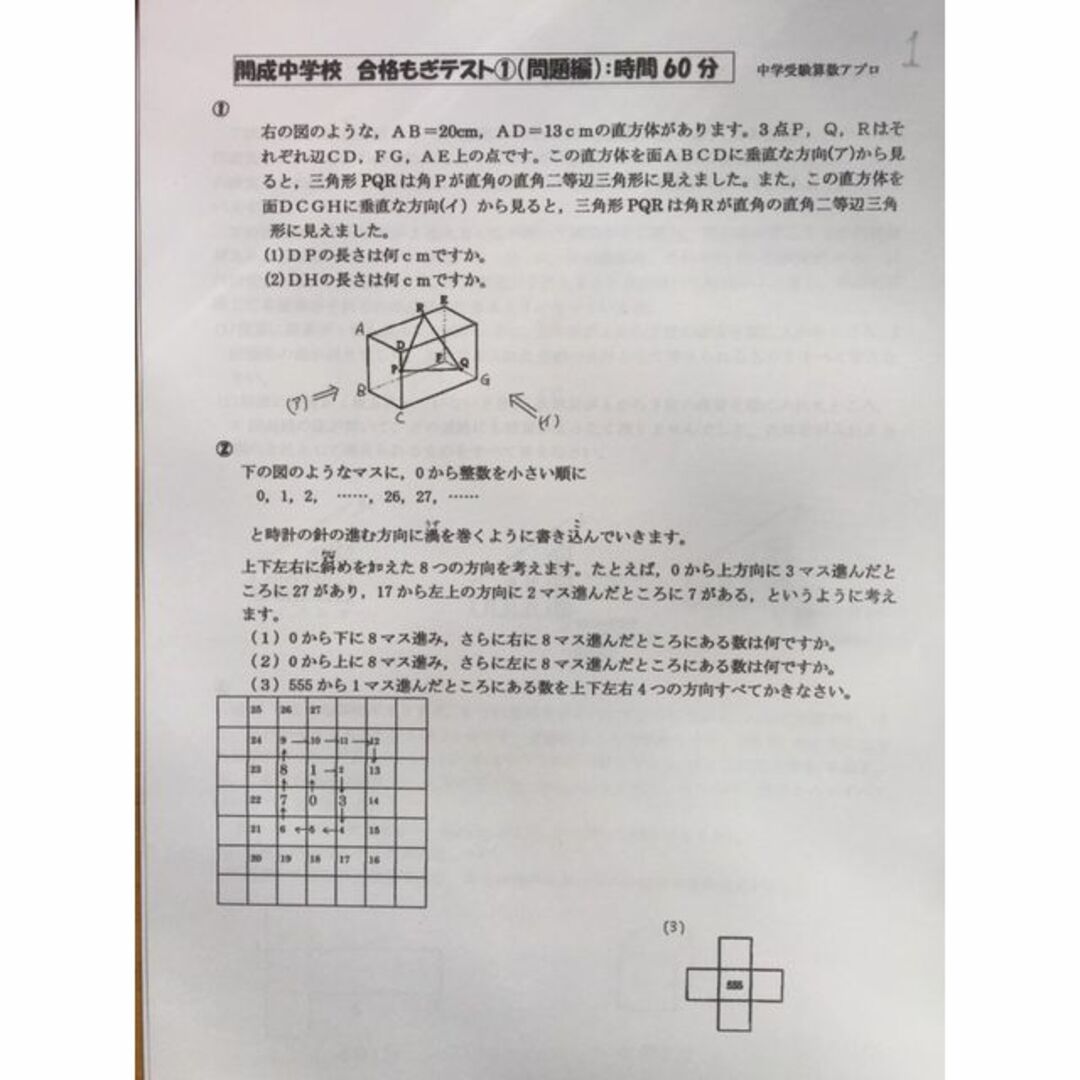 【300円割引】東京女学館中学校：2024年攻略プリント（算数と分析理科）■