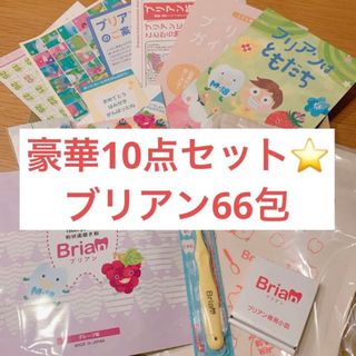 ブリアン 10点セット‼️ グレープ 60包 プレーン 6包 歯ブラシ 小皿(歯ブラシ/歯みがき用品)