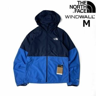 ノースフェイス(THE NORTH FACE) マウンテンパーカー(メンズ)（ブルー