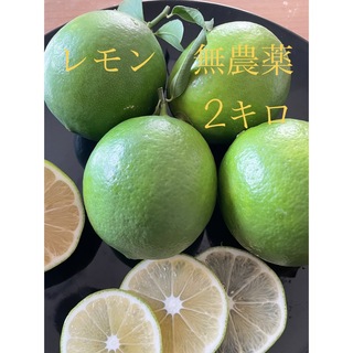 レモン　無農薬2キロ(フルーツ)