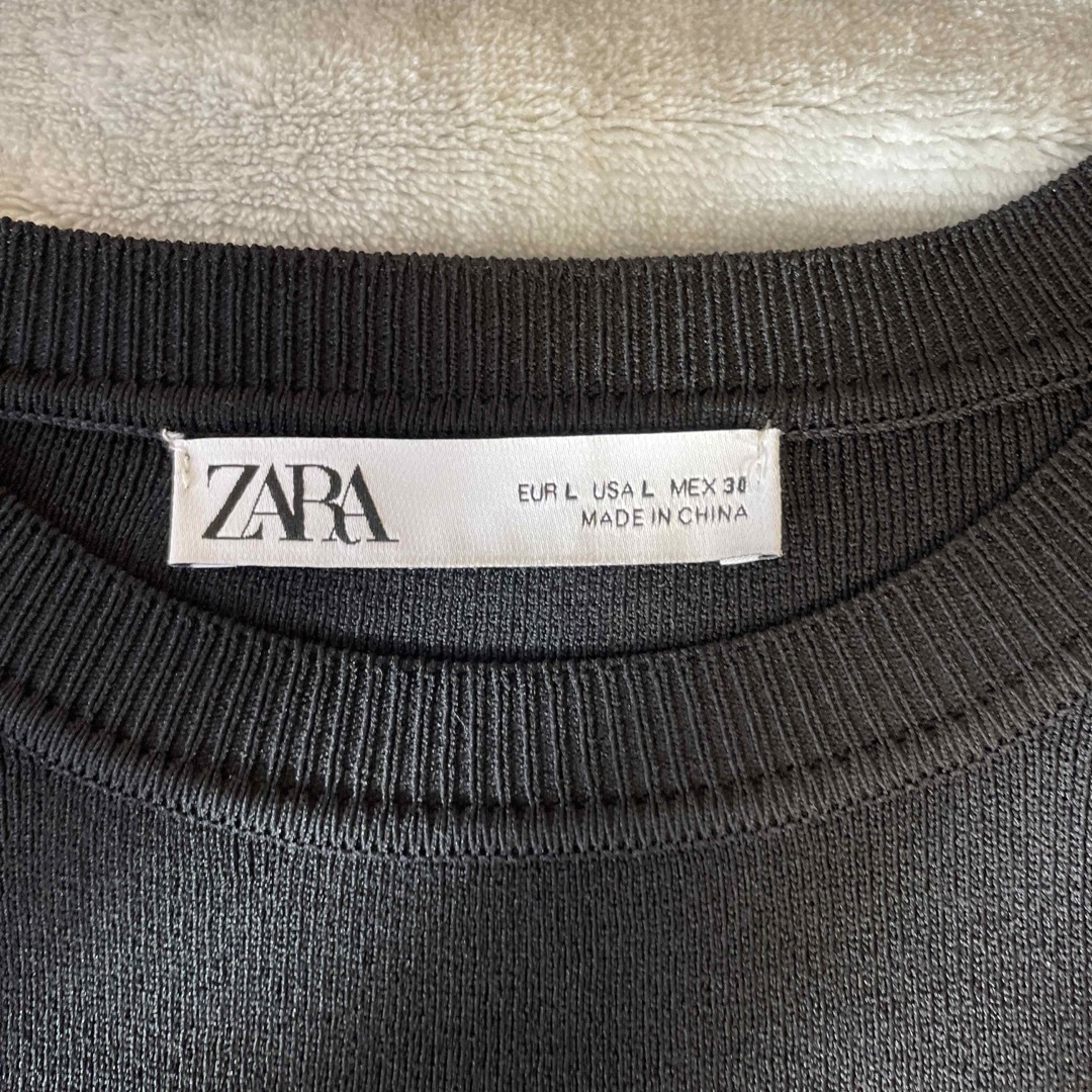 ZARA(ザラ)のZARA ザラ　お袖シースルートップス レディースのトップス(カットソー(長袖/七分))の商品写真