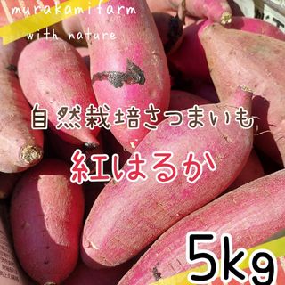 さつまいも 自然栽培 紅はるか 熊本県産 5kg！(野菜)