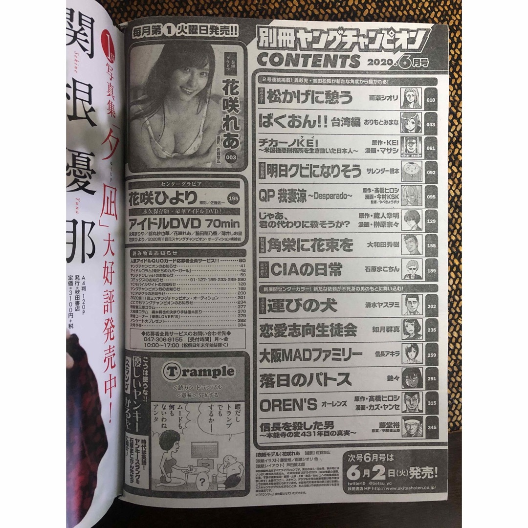 別冊ヤングチャンピオン　2020 6月号　DVD付き エンタメ/ホビーの雑誌(アート/エンタメ/ホビー)の商品写真