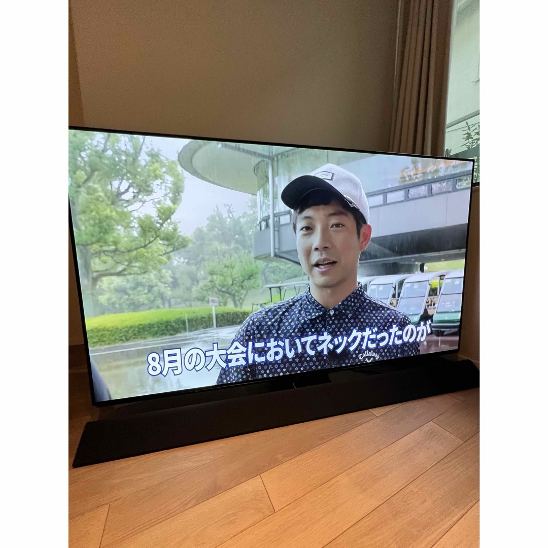 Panasonic 有機ELテレビ65インチ　TH-65FZ1000