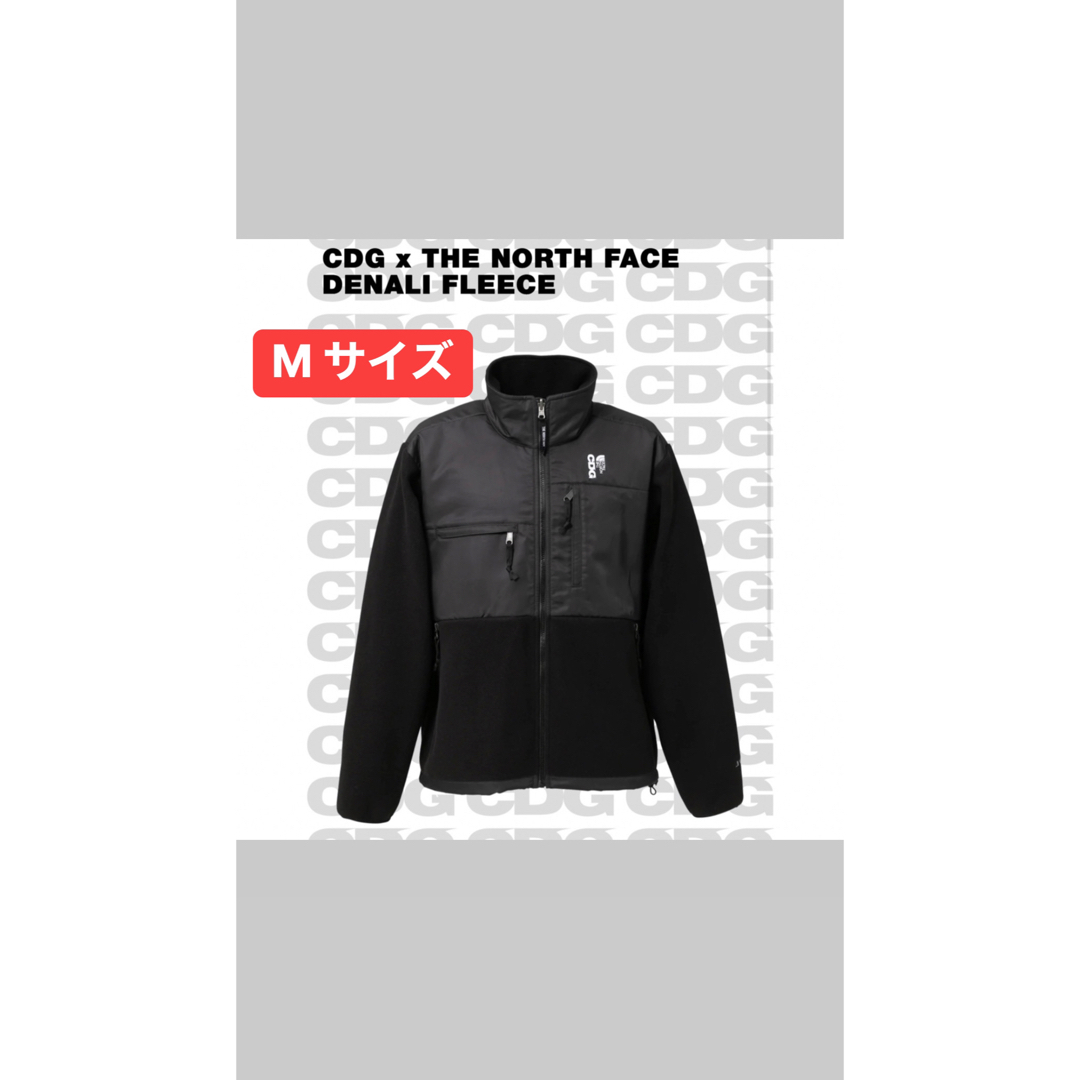 THE NORTH FACE×CDG デナリジャケット　コムデギャルソン