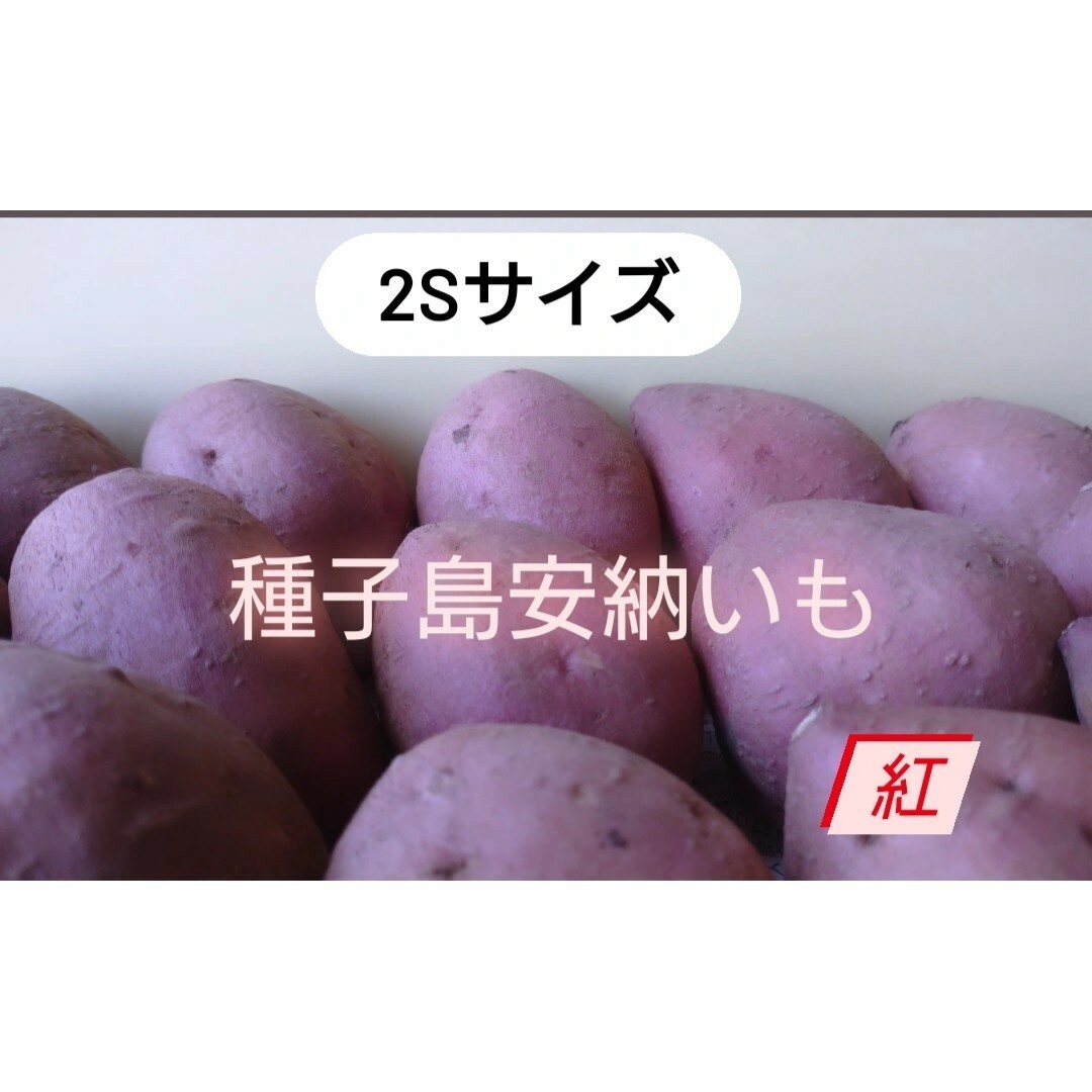 種子島安納いも紅2Ｓ　5キロ 食品/飲料/酒の食品(野菜)の商品写真