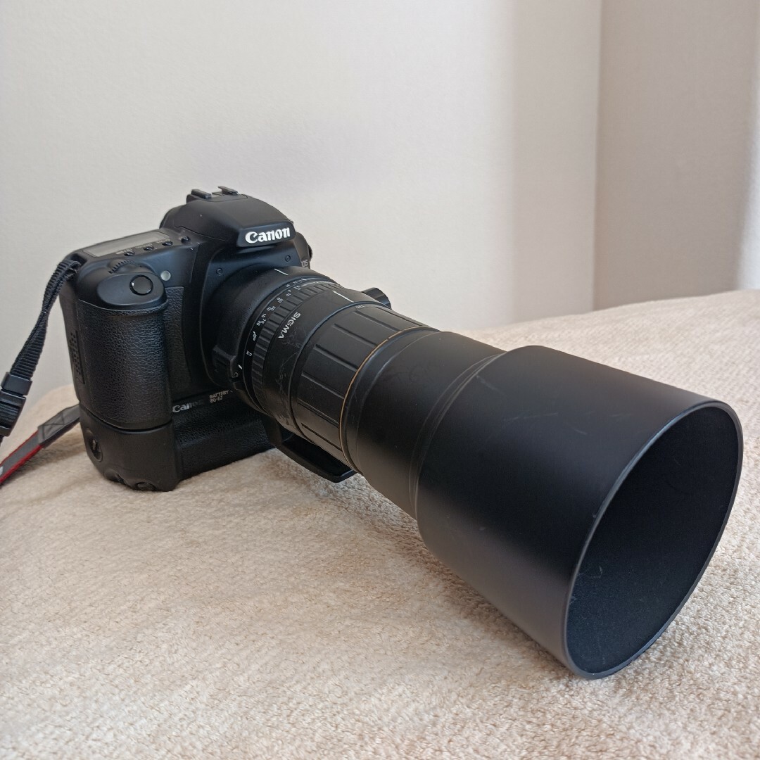 Canon EOS 30D＋ SIGMA APO 135-400mm