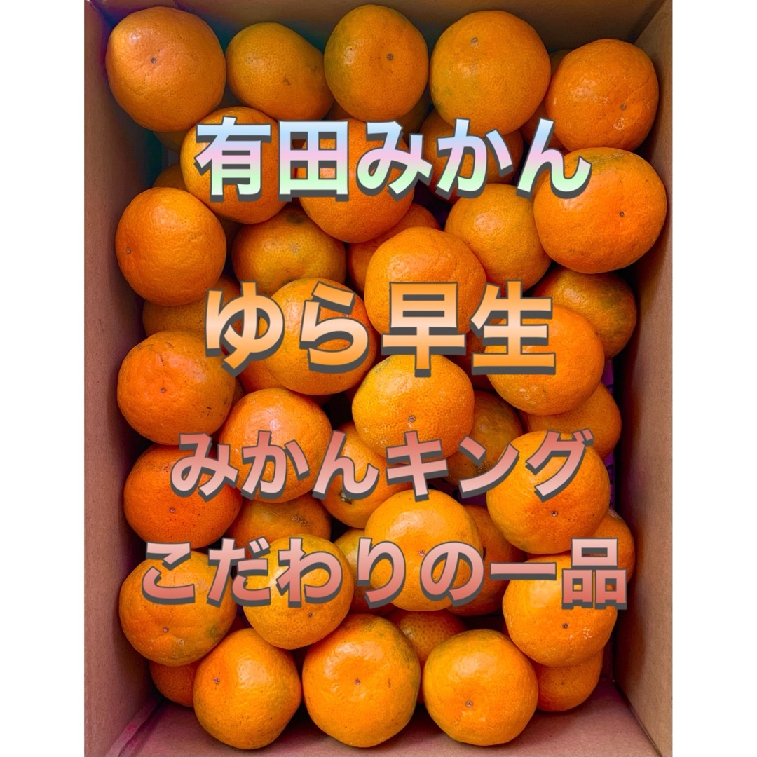 糖度15度越え　プレミアムみかんキング　旬味有田みかん　ゆら早生 　2Kg 食品/飲料/酒の食品(フルーツ)の商品写真