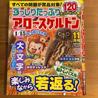 ずっしりたっぷり アロー&スケルトン 2023年 11月号(その他)