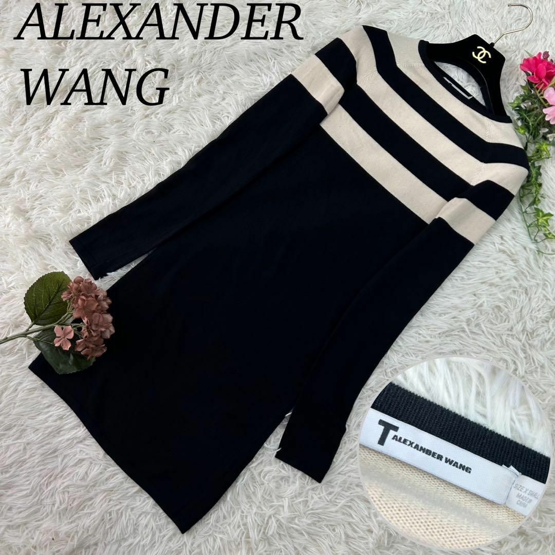 Alexander Wang(アレキサンダーワン)のアレキサンダーワン ロング丈 ワンピース レディース XS ニット ボーダー レディースのワンピース(ひざ丈ワンピース)の商品写真