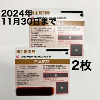 JAL 株主割引券 2枚セット 2023年11月30日まで