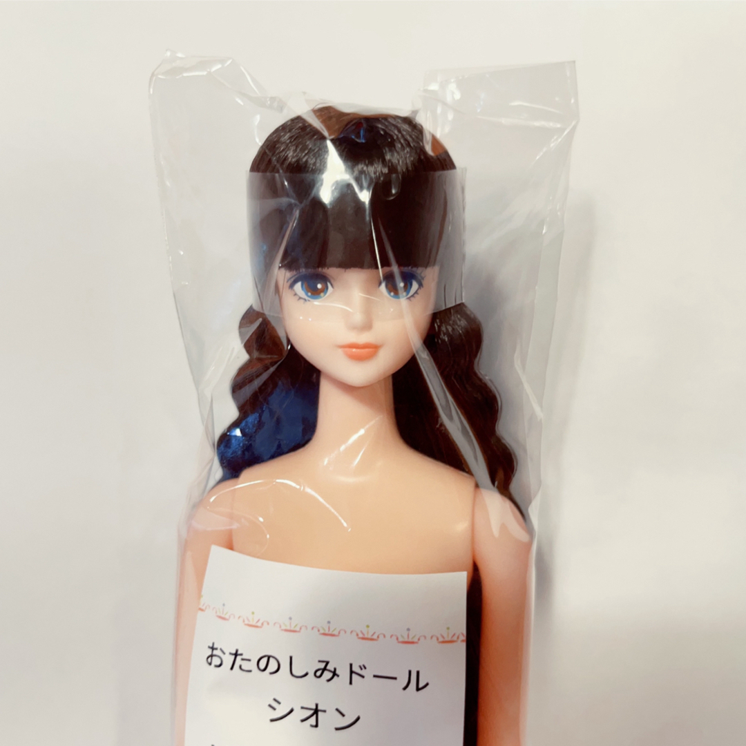 リカちゃんキャッスル　おたのしみドール　シオン ハンドメイドのぬいぐるみ/人形(人形)の商品写真