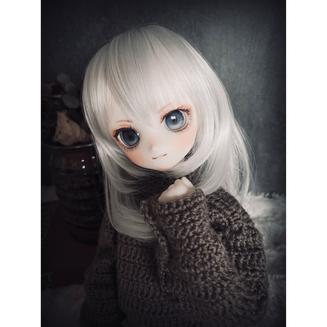 VOLKS   DDH ドルフィードリーム カスタムヘッド レジンアイ セミ