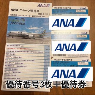 エーエヌエー(ゼンニッポンクウユ)(ANA(全日本空輸))のANA 株主優待番号チケット　3枚　優待券冊子付き(その他)