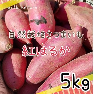 さつまいも 自然栽培 紅はるか 熊本県産 5kg！(野菜)