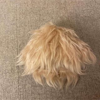 ネオブライス ウィッグ(その他)