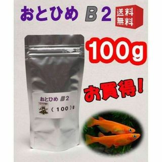 めだか の 餌 エサ◇おとひめ B２ １００ｇ◇メダカ の えさ◇喰い付き抜群①(アクアリウム)