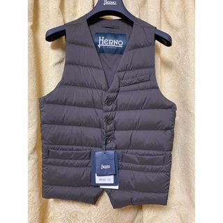 ヘルノ ダウンベスト(メンズ)の通販 100点以上 | HERNOのメンズを買う