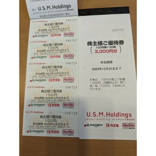 USMホールディングス株主優待券500円分の通販 by マラソンマン２'s