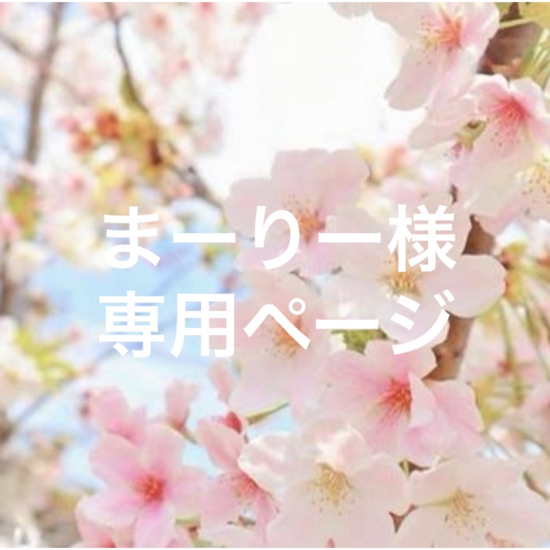 まーりー様専用ページ | フリマアプリ ラクマ