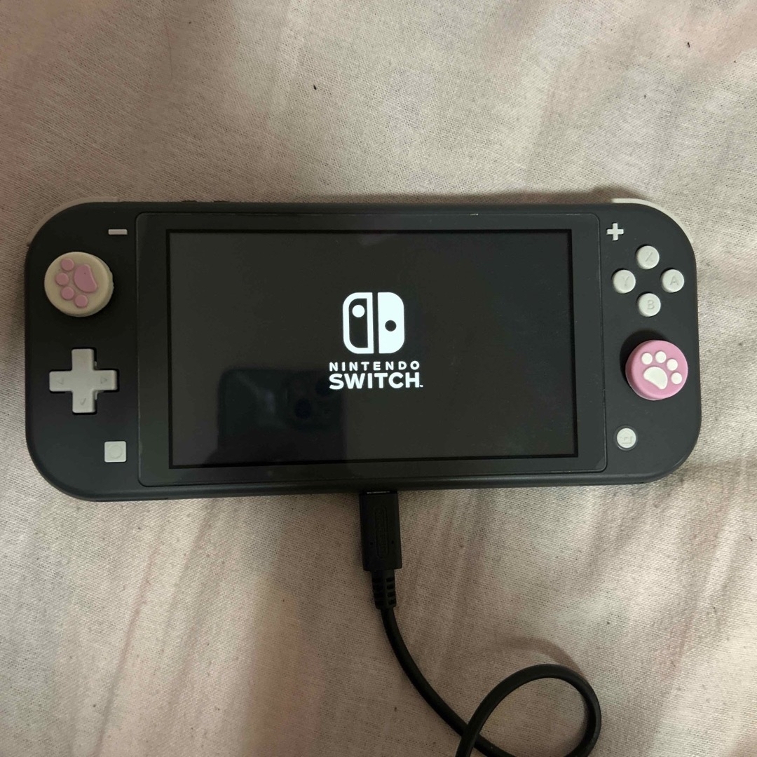 Nintendo Switch Lightゲームソフト/ゲーム機本体