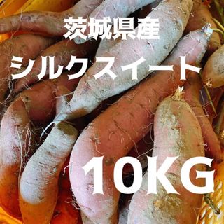 熟成済み 甘い シルクスイート 10kg 土付き サイズ不選別 焼き芋 干し芋(野菜)